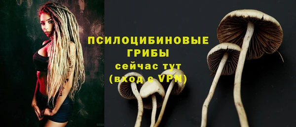 PSILOCYBIN Баксан